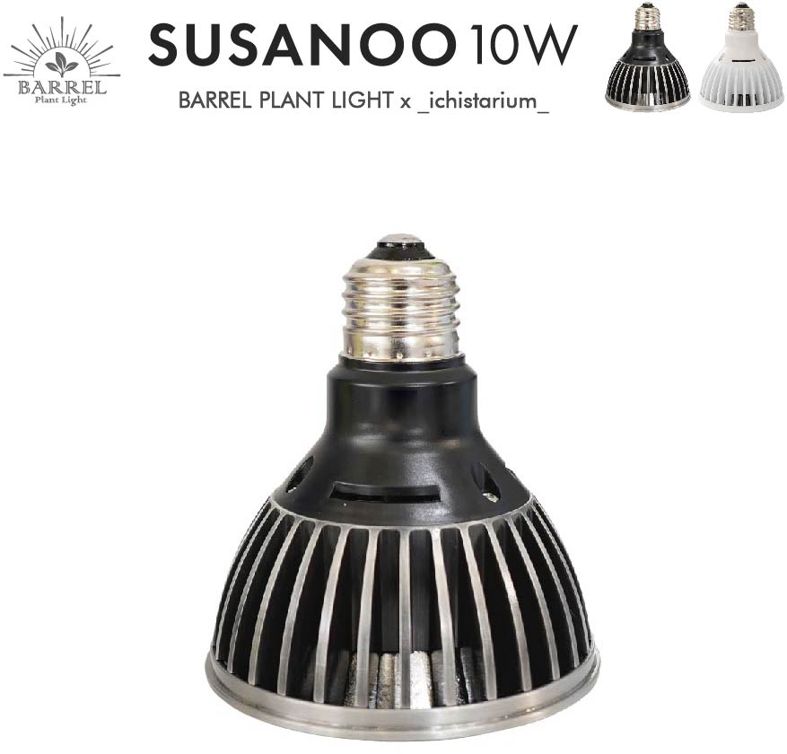 BARREL SUSANOO 10W-SL