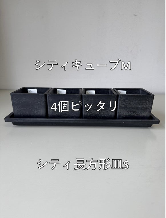 marvista プラスチックポット シティキューブM BK