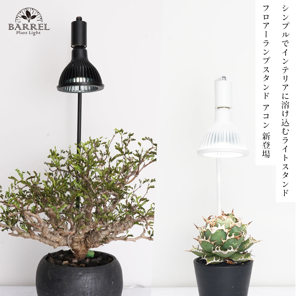 BARREL Akoud フロアースタンドBK 74.6cm