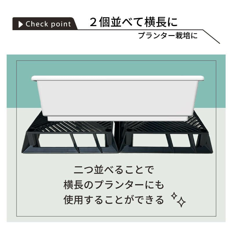 ブラックベース20cm