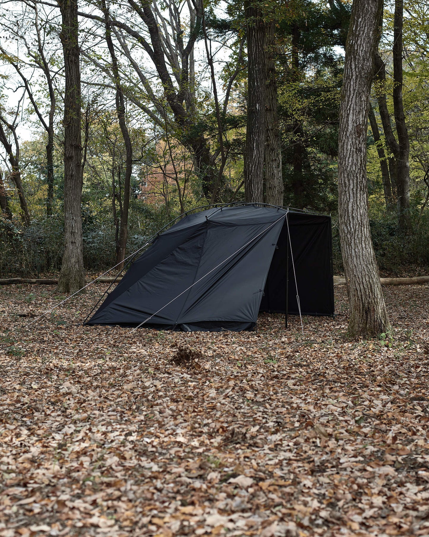 PENELOPE CAR SIDE TARP