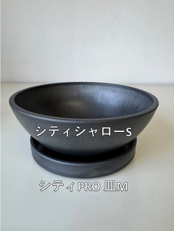 Marvista シティシャロー BK 0960