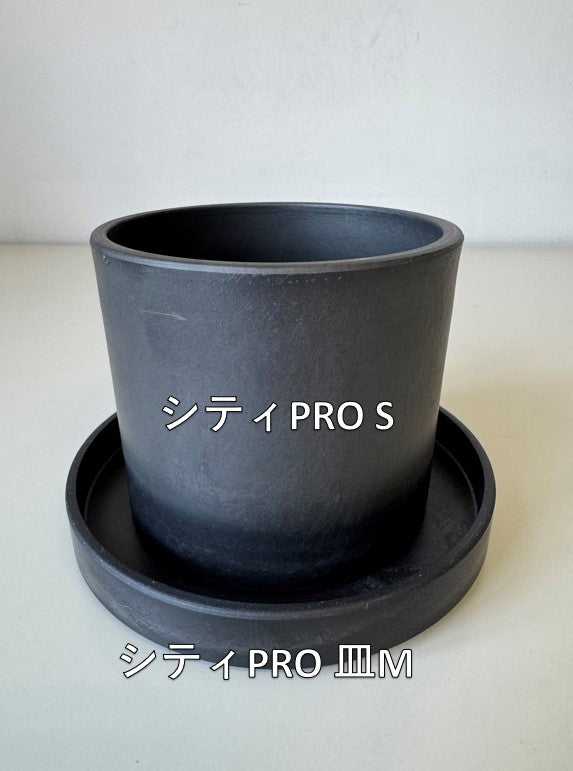 Marvista シティPRO皿M　BK　0959