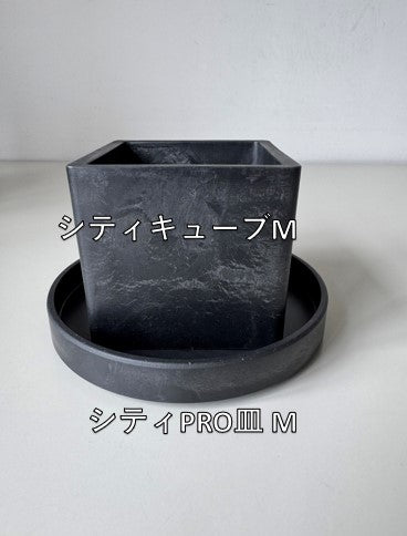 marvista　プラスチックポット　シティキューブM　BK
