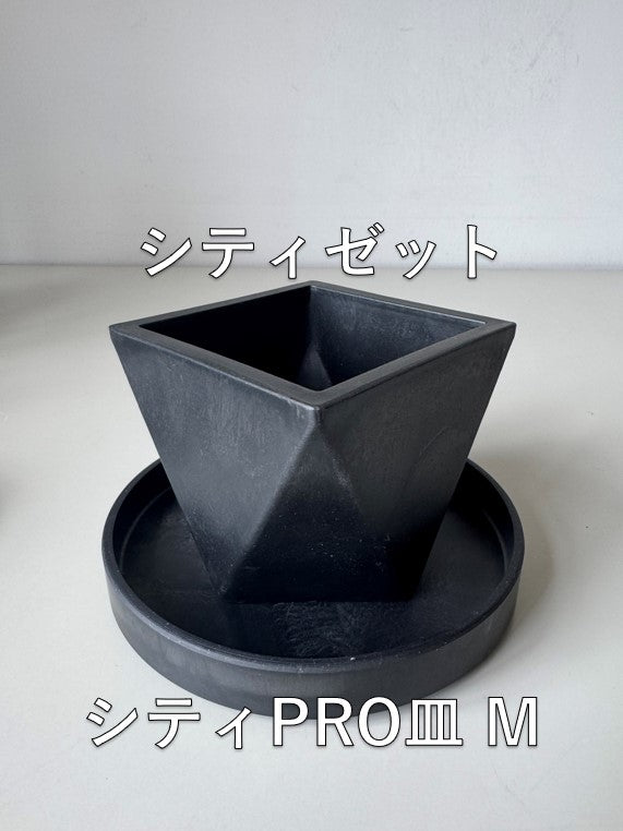 Marvista シティPRO皿M　BK　0959