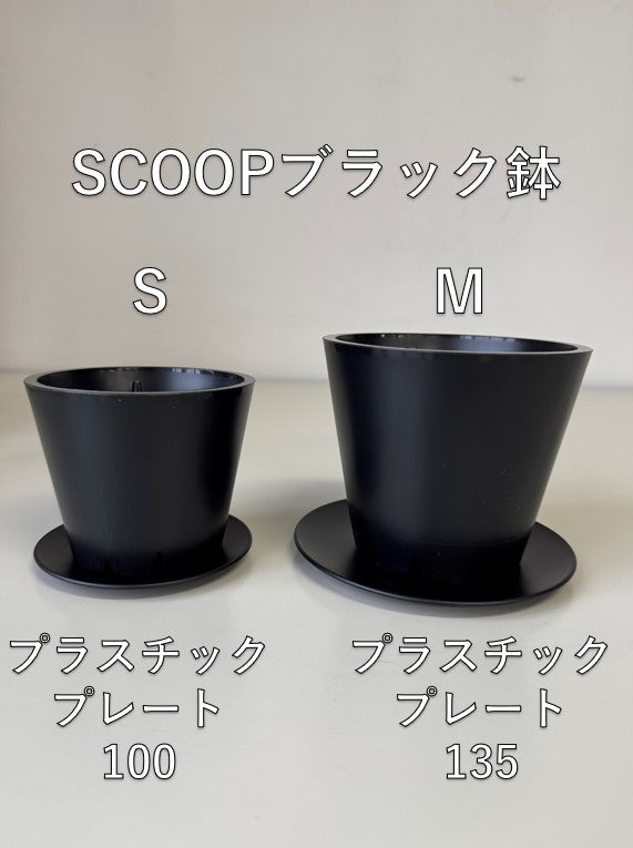 SCOOP　ブラック鉢M