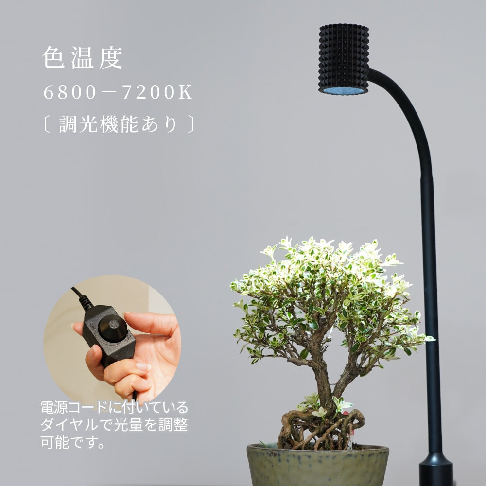 スタンドライト yew-7w-WH