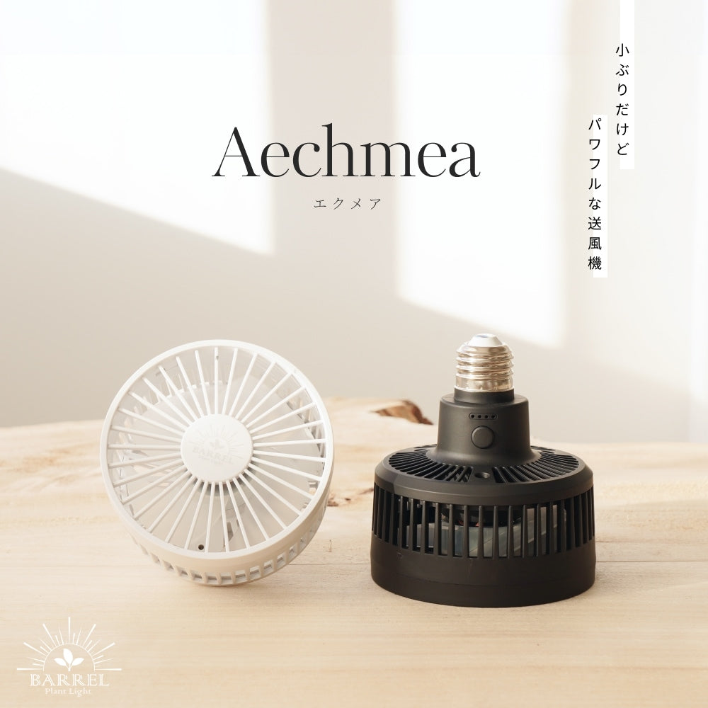 Aechmea 植物用ファンWH