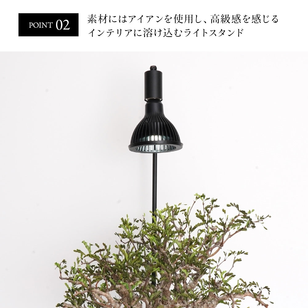 Akond フロアーライトスタンド54.6cmWH