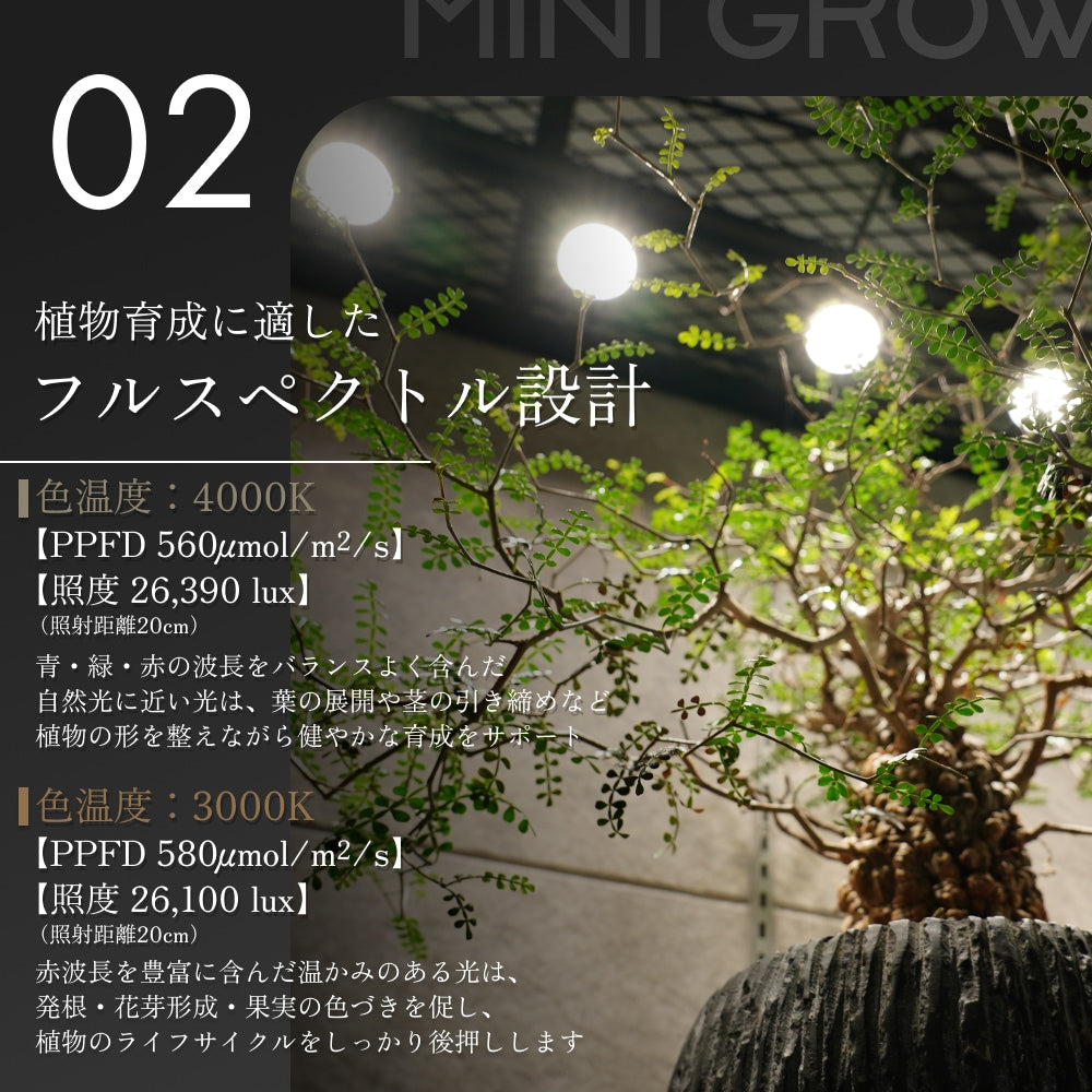 BARREL MINIGROW-SUN9W 3000Kブラック