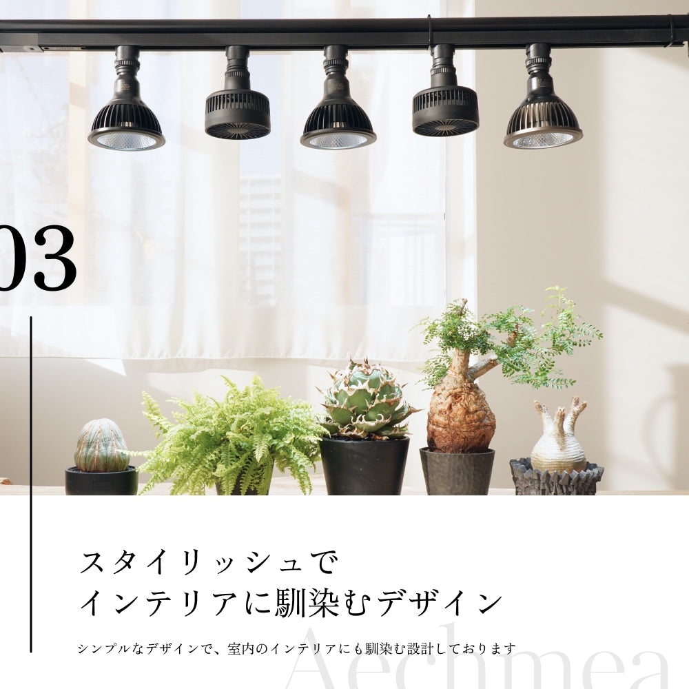 BARREL Aechmea エクメア 植物用ファン BK