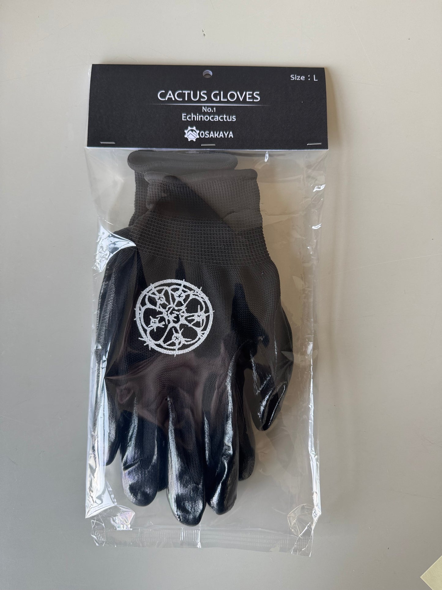 【ワケあり処分特価】カクタスグローブ エキノカクタス Lサイズ