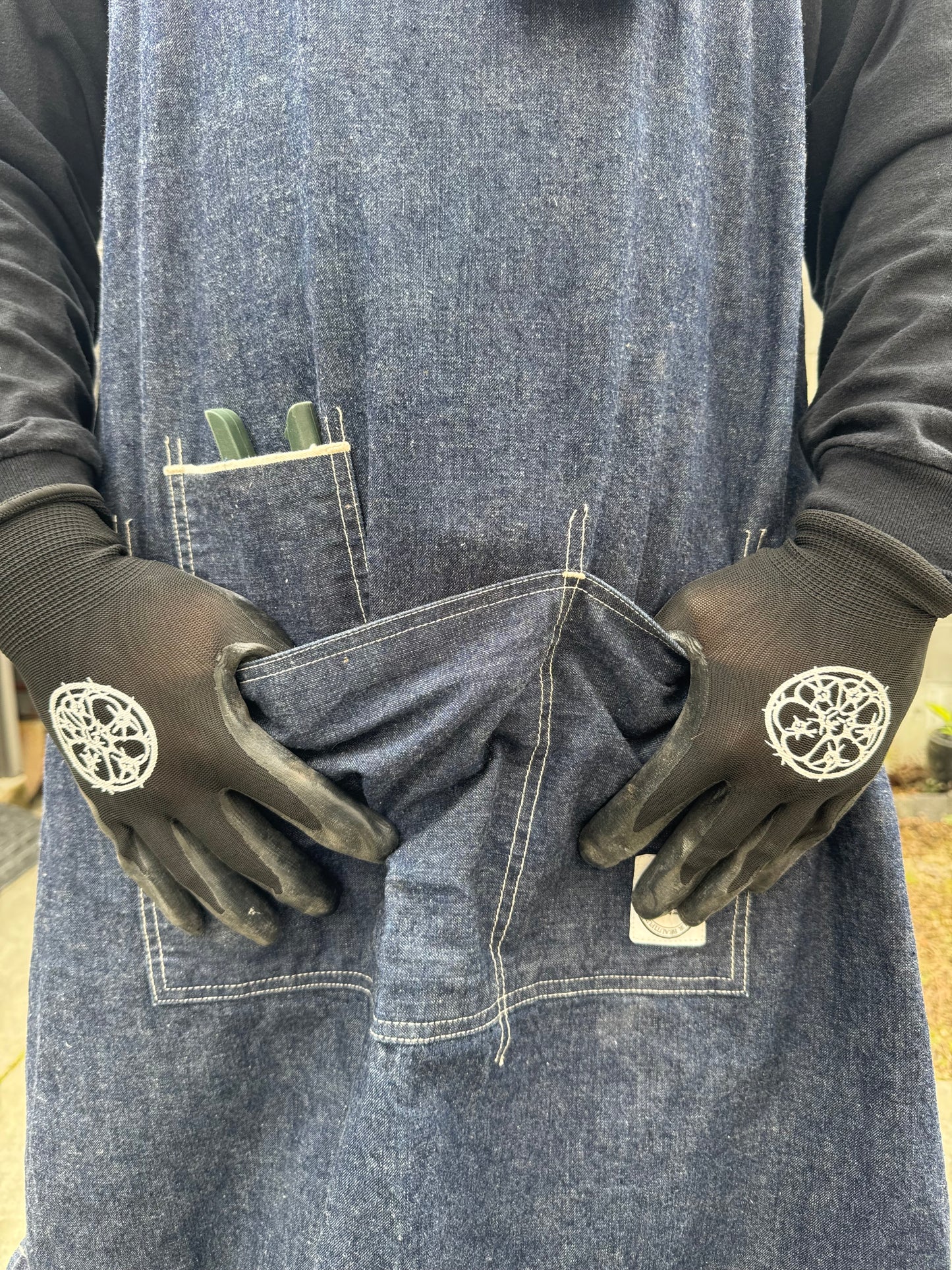 【ワケあり処分特価】カクタスグローブ エキノカクタス Lサイズ