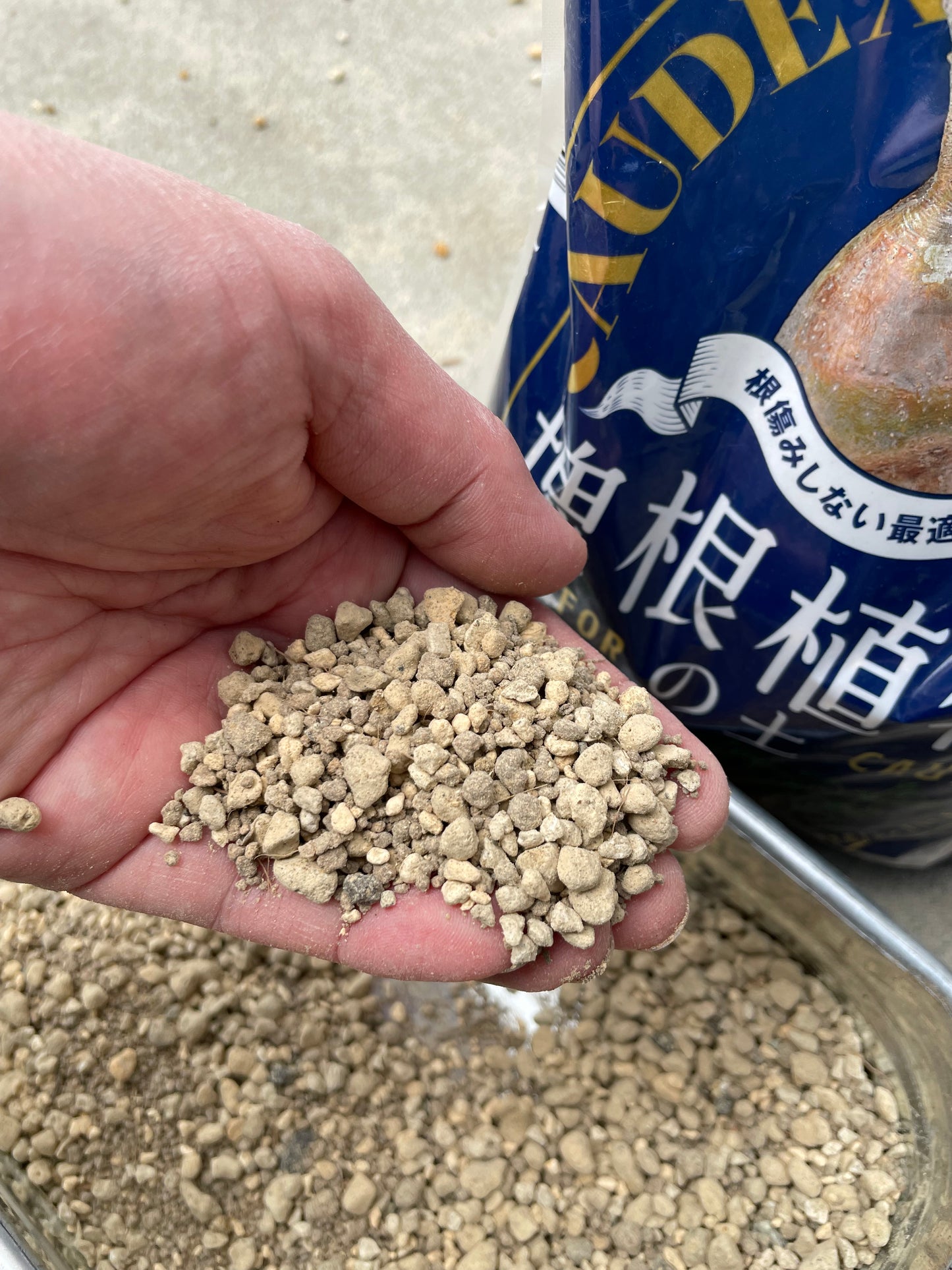 花ごころ　塊根植物の土