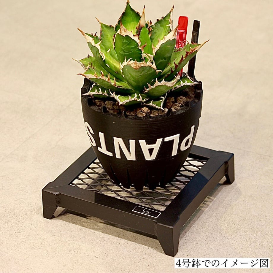Lim Iron craft DAIZA
