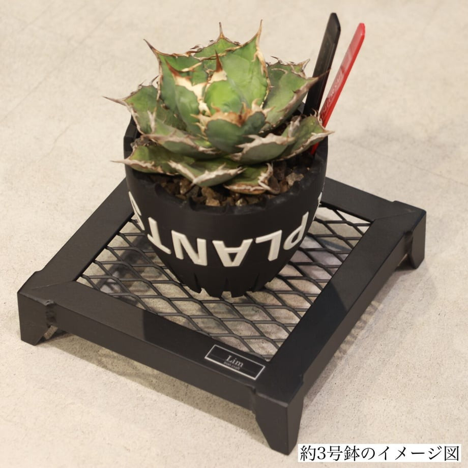 Lim Iron craft DAIZA