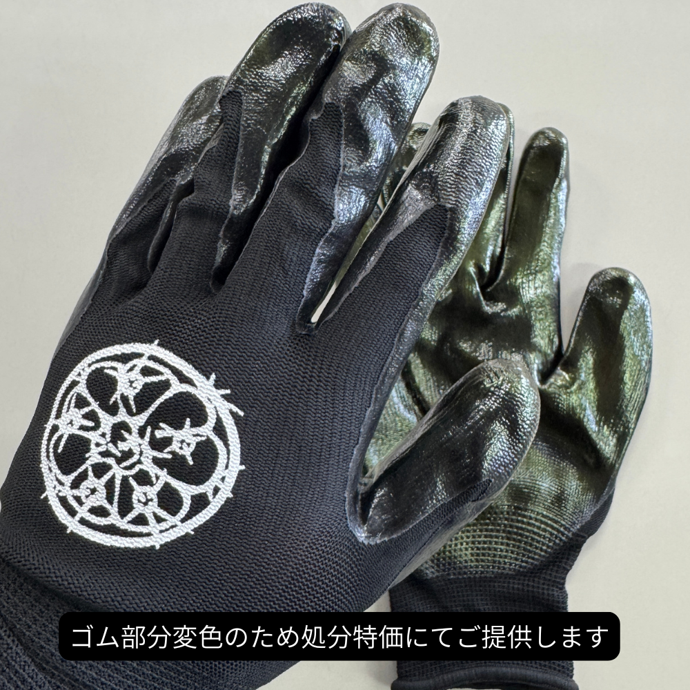 【ワケあり処分特価】カクタスグローブ エキノカクタス Lサイズ